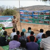 ఘ‌నంగా ప్ర‌పంచ అట‌వీ దినోత్సవ‌ వేడుక‌లు