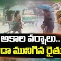 నట్టేటముంచిన అకాల వర్షం