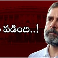 రాహుల్ గాంధీ పై అనర్హత వేటు