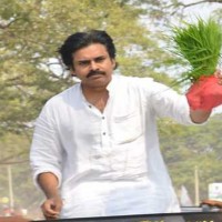 రాటు తేలుతున్న పవన్