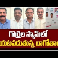 బయటపడుతున్న గొర్రెల బాగోతాలు...