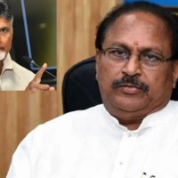 డిప్యూటీ సీఎం కొట్టు సత్యనారాయణ సంచలన వ్యాఖ్యలు