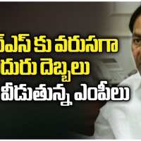 గులాబీ వలసలు ఆగేదెలా