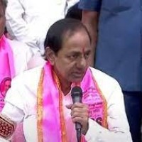 గులాబీ పార్టీకీ ఏమైంది...