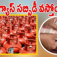 గ్యాస్ సబ్సిడి పడిందా...