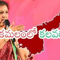 కమలంలో పాత నీరే పాయో