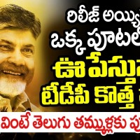 పాలిటిక్స్ ను ఊపేస్తున్న పాట