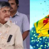 వారసులకు అవకాశాలు