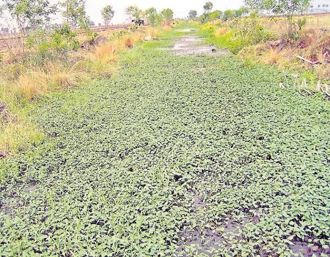 కాలువలకు మరమ్మత్తలు మరిచారు