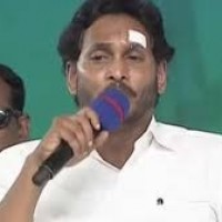 ఏపీలో దత్తపుత్రుడి పాలిటిక్స్...