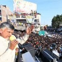 బిజీ బిజీగా చంద్రబాబు 