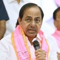 గులాబీ నేతల వ్యూహాత్మక మౌనమేనా