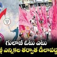 గులాబీ ఓటు బ్యాంకు ఎటూ.. 