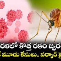  కేరళలో కొత్త జ్వరం.. ‘వెస్ట్ నైల్