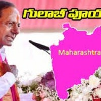 మహారాష్ట్రపై గులాబీ గురి