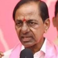 నిస్సహాయ స్థితిలో గులాబీ బాస్