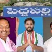 పెద్దపల్లిలో  పాగా వేసేది ఎవరు