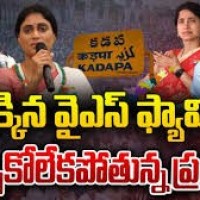 రంగంలోకి వైఎస్ ఫ్యామిలీ