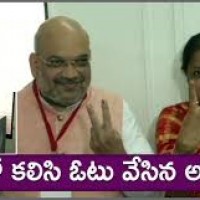 ఓటు వేసిన అమిత్ షా