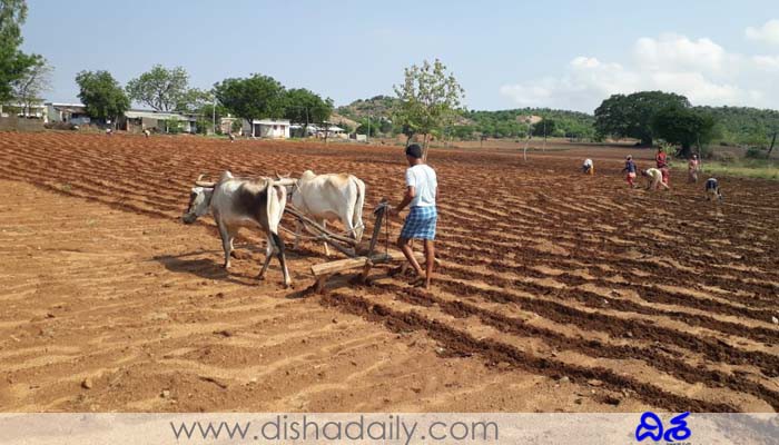 కిం కర్తవ్యం... అయోమయంలో రైతాంగం...