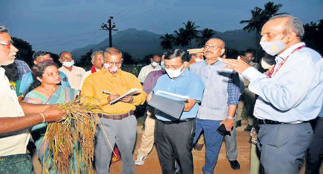 వరద ప్రాంతాల్లో కేంద్రబృందం పర్యటన