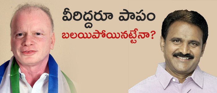 పాపం... పిల్లి, మోపిదేవి