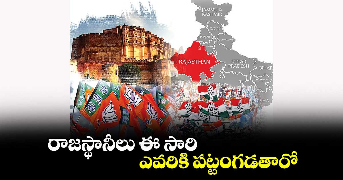 రాజస్థాన్ లో భర్తల కోసం భార్యల ప్రచారం