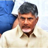 చంద్రబాబు బెయిల్ పై విచారణ ఈనెల 15 కు వాయిదా