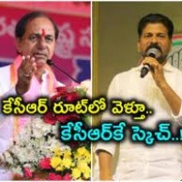 కాంగ్రెస్  కామారెడ్డిలో స్కెచ్