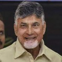 ఢిల్లీకి చంద్రబాబు