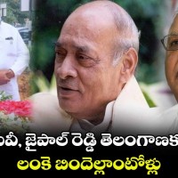 దేశ కీర్తిని ప్రపంచానికి చాటిన గొప్ప మేధావి పీవీ