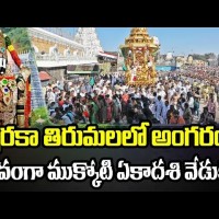 ద్వారకా తిరుమలలో ఘనంగా ముక్కోటి ఏకాదశి వేడుకలు