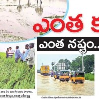 ఎంత కష్టం... ఎంత నష్టం...