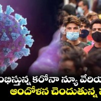 న్యూ ఇయర్ పై కరోనా ఎఫెక్ట్