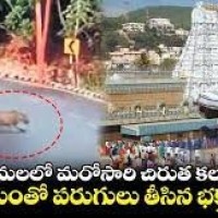 తిరుమలలో చిరుత కలకలం