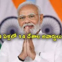 10 ఏళ్లలో 14 దేశాల అవార్డులు