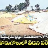 మొండికేస్తున్న మిల్లర్లు మొదలుకాని కొనుగోళ్లు