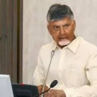 తిరుగబడుతున్న సీనియర్ తమ్ముళ్లు