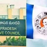 వైసీపీ ఎమ్మెల్సీల సేఫ్ గేమ్