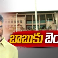 చంద్రబాబుకు మధ్యంతర బెయిలు మంజూరు