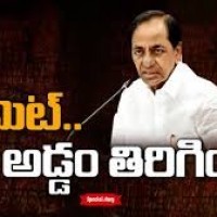 గులాబీ కథ అడ్డం తిరిగింది..