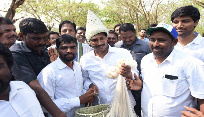 ఐదు నెల్లలోనే హామీల అమలు