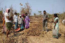 ఇక ఉపాధి హామీ పనులే