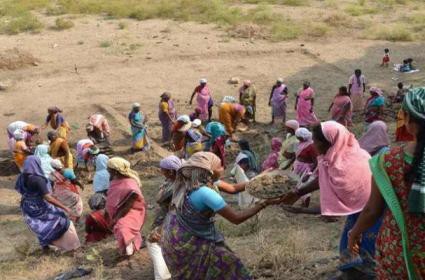 1300 కోట్లకు ఉపాధి పనులు