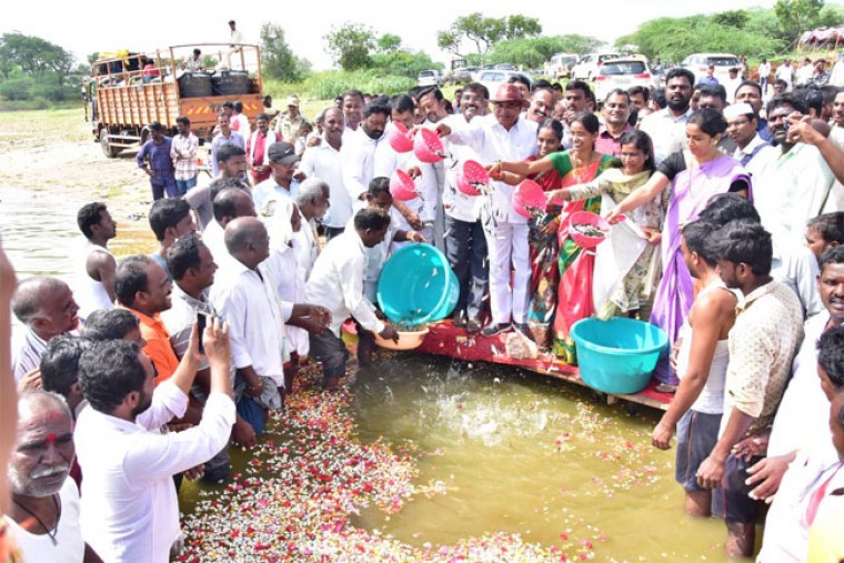 రొయ్యలను విడుదల చేసిన మంత్రి