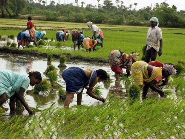 రైతులను మోసం చేస్తున్న ప్రభుత్వం