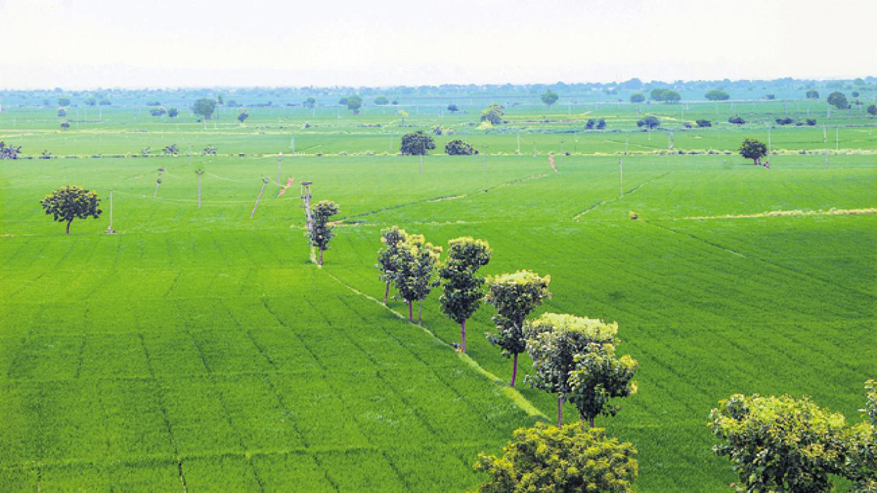 భారీగా పెరగనున్న సాగు విస్తీర్ణం..