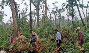  తాడ్వాయి ఫారెస్ట్ విచారణ షురూ