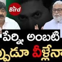 అంబటి, పేర్ని లే వాయిస్ లా..