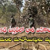 భారీ ఎన్ కౌంటర్ లో తొమ్మిది మంది మృతి